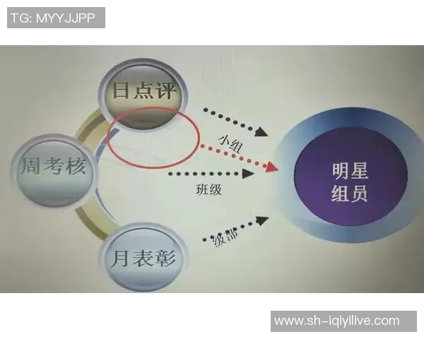 重庆排球队个人能力引发热议球员表现与团队协作的深度探讨