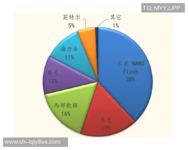 重庆网球队的控制革新与发展战略深度剖析与展望